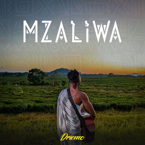 Driemo-Mzaliwa Album